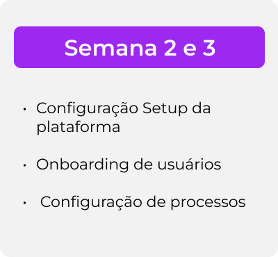 Semana 2 e 3